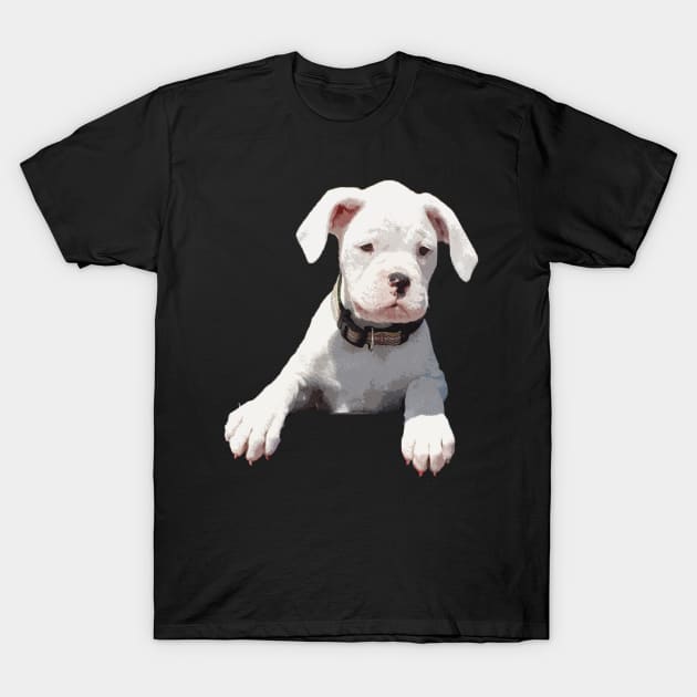 Adorable White Boxer Puppy T-Shirt by 3QuartersToday